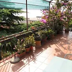 Apartments Dobrinic